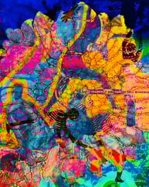 rene-Westbrook--400x500