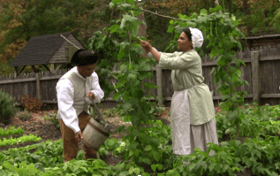 diet of our ancestors