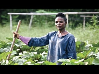 racism-land-and-the-american-farming-landscape