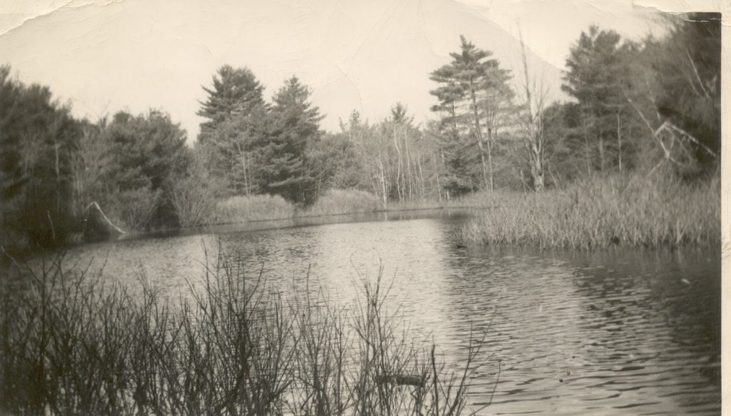 Jude's Pond, Exeter